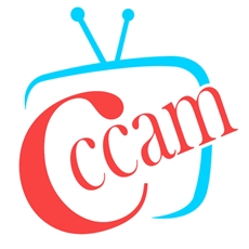 1 Month Cccam Service